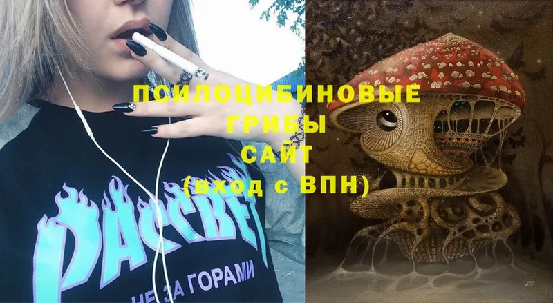 Галлюциногенные грибы Magic Shrooms  hydra маркетплейс  Венёв 